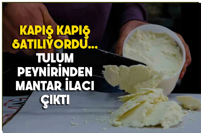 Yuh.. Tulum peynirinden mantar ilacı çıktı